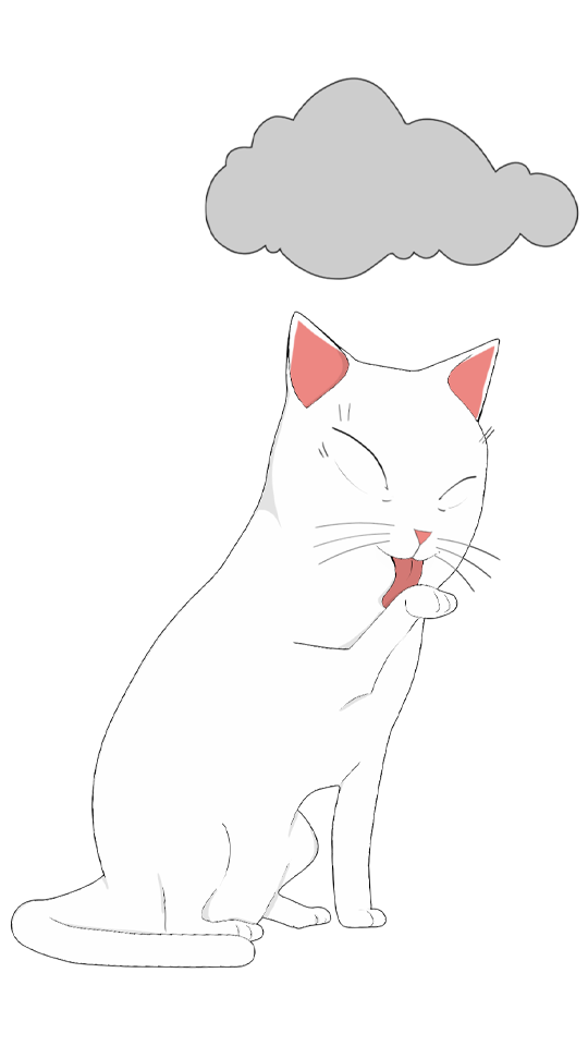 the silent killer is a threat due to hypertension in cats
