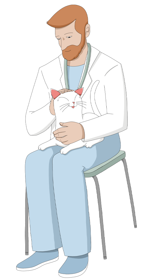 veterinarian takes care of a cat undergoing treatment for high blood pressure