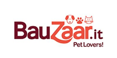 logo Bauzaar