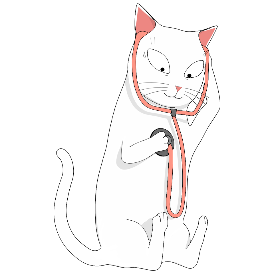 cat who thinks he is a vet with a stethoscope