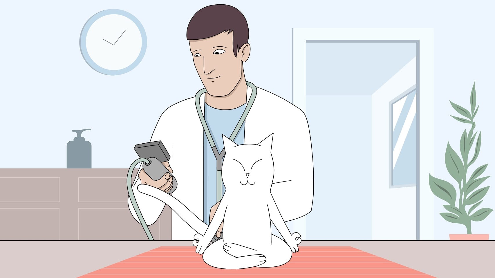 Kissa on rauhallinen, kun eläinlääkäri mittaa sen verenpaineen.