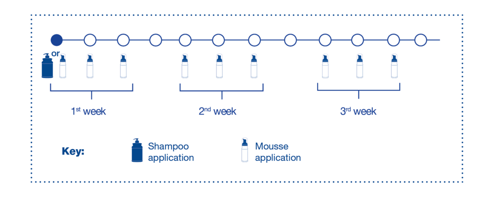 DOUXO S3 protocol (with 2 options for 1st application (either shampoo or mousse)