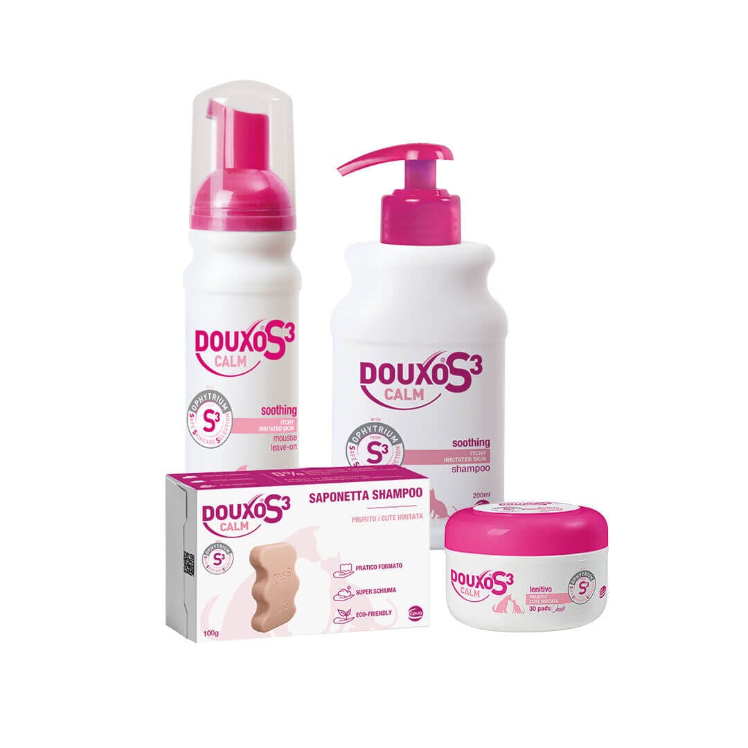 CALM Packagings
