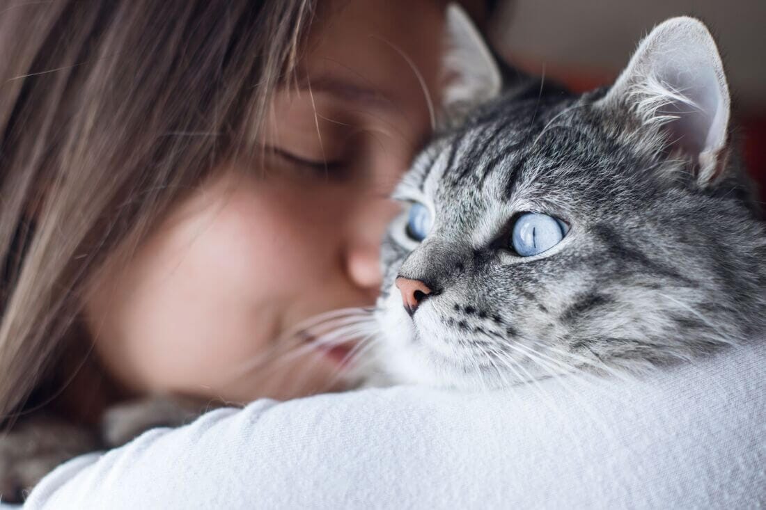 cat-human bond