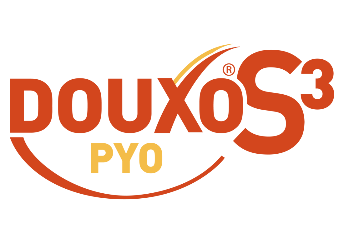 PYO logo