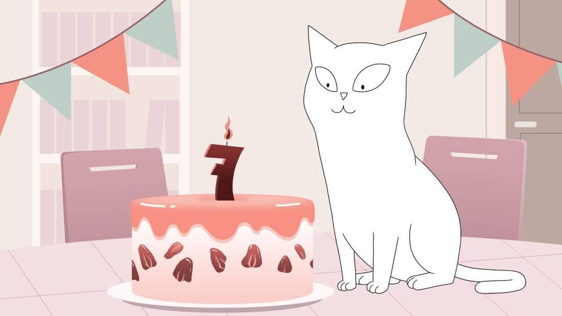 Un gatto che festeggia il suo 7° compleanno, è più a rischio di ipertensione