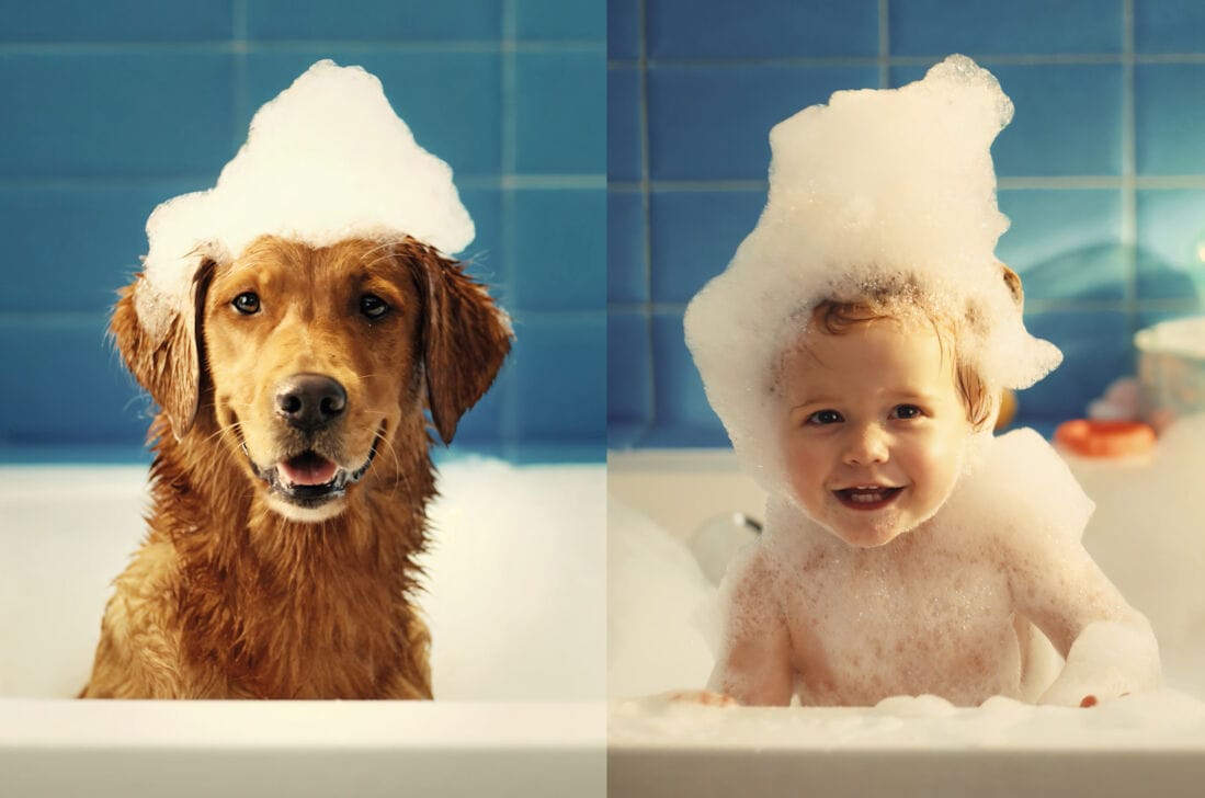 DOUXO Skin & Coat SPA - Omdat de huid van een hond net zo delicaat is als die van een baby