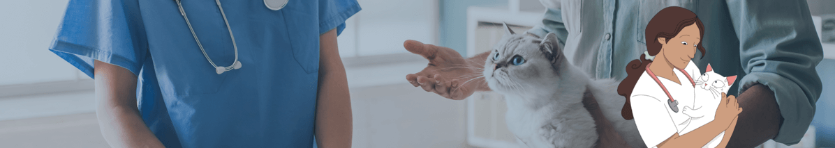 Stunning Cat Uti Prevention With Hypertension image