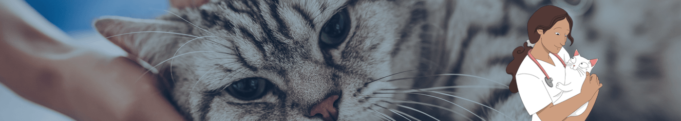 Hyperthyroidism is one reason of high blood pressure. If your cat have symtoms and is in pain we will see treatment.