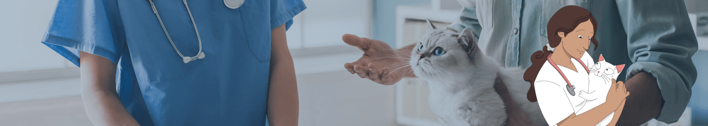 Treatment of high blood pressure or hypertension in cats that have eye problems, keep closing, weepy, or heart murmure.