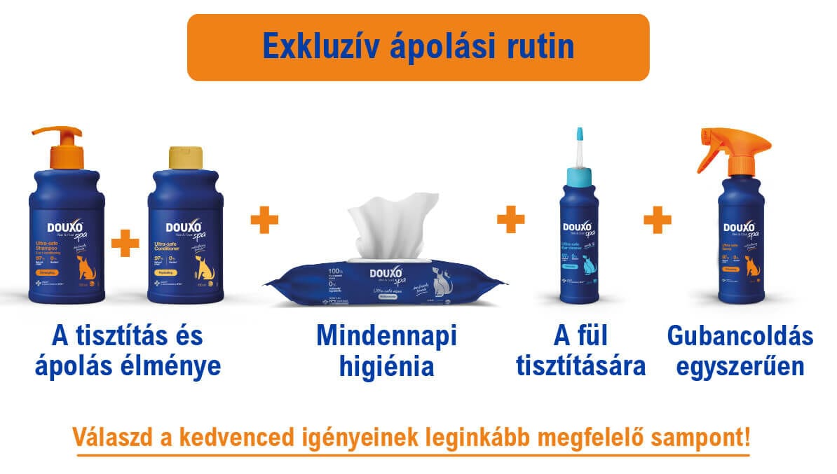DOUXO SPA Gubancoldó spray kutyáknak - ápolási rutin