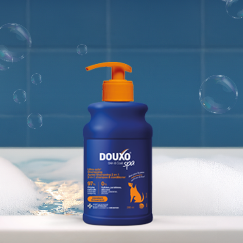Shampoo DOUXO SPA op rand bad