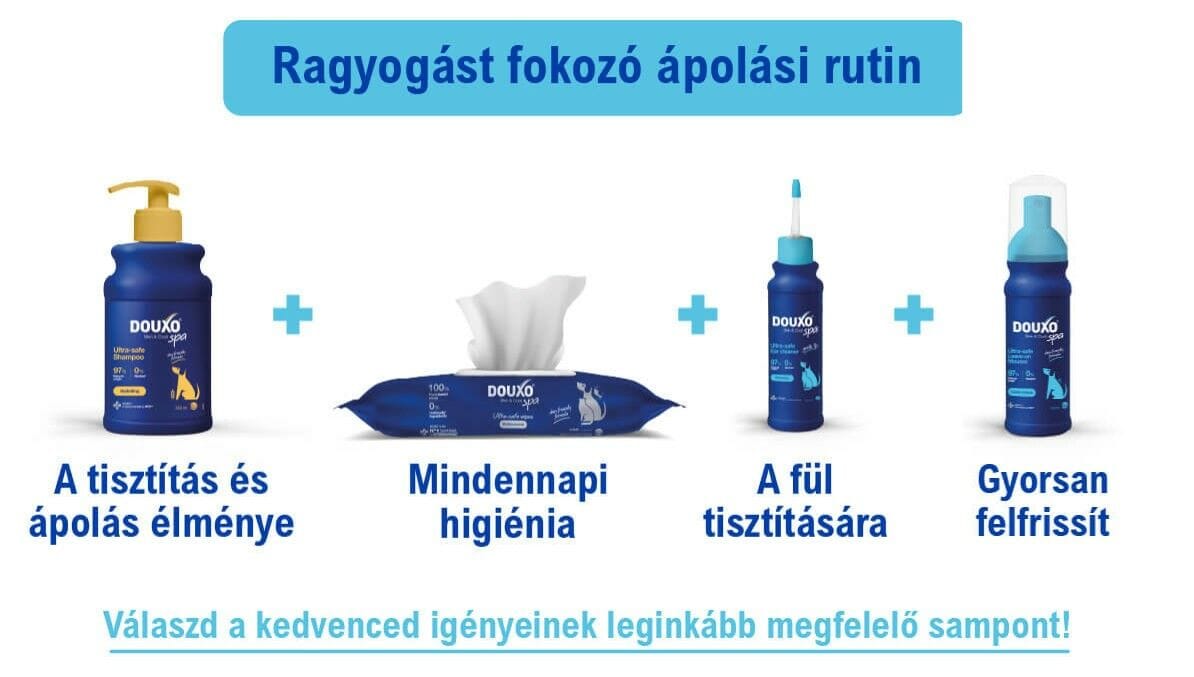 DOUXO SPA Lemosást nem igénylő frissítő hab kutyáknak - ápolási rutin