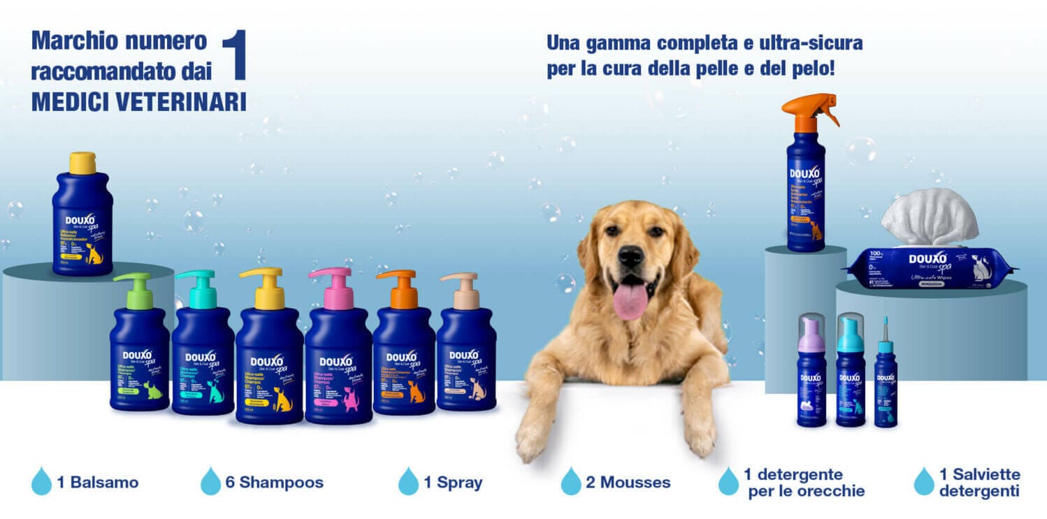 IT-Full range SPA visual.jpg