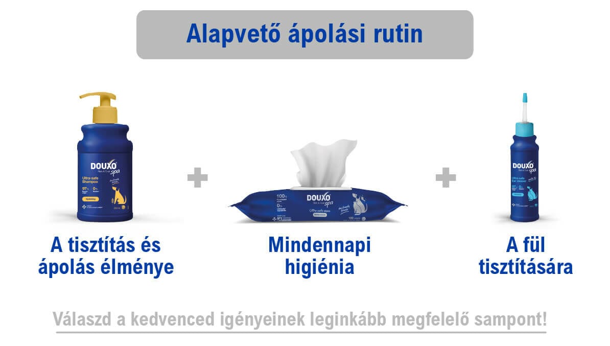 DOUXO SPA Nedves törlőkendő kutyáknak és macskáknak 100x - ápolási rutin