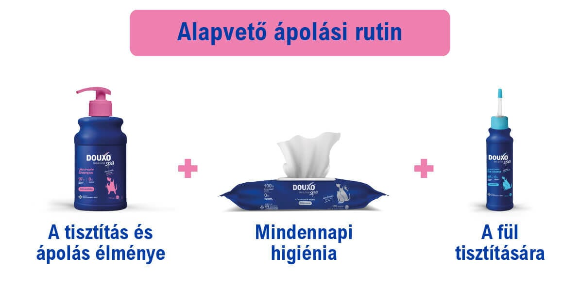 DOUXO SPA Viszketéscsillapító sampon kutyáknak 250 ml - áprolási rutin