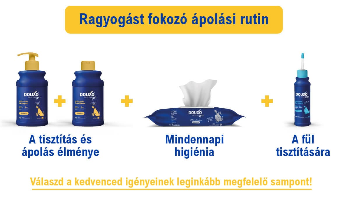 DOUXO SPA Hidratáló kondicionáló kutyáknak 250 ml - ápolási rutin