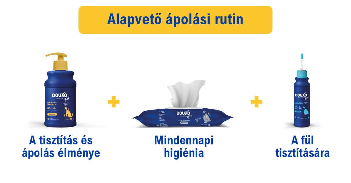 DOUXO SPA Hidratáló sampon kutyáknak 250 ml - ápolási rutin
