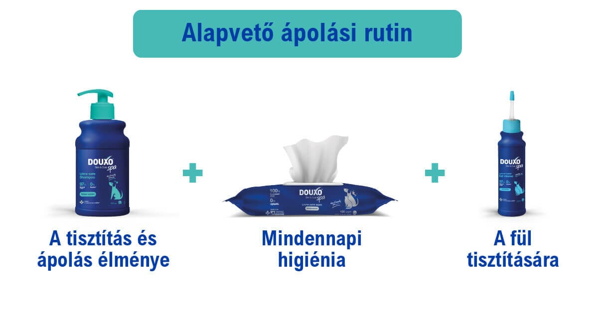 DOUXO SPA Szagsemlegesítő sampon kutyáknak 250 ml - ápolási rutin