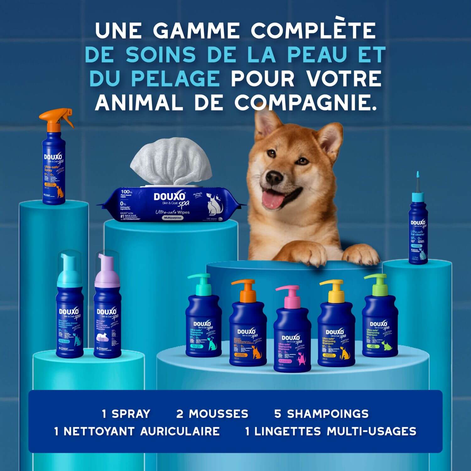 DOUXO Skin & Coat SPA range