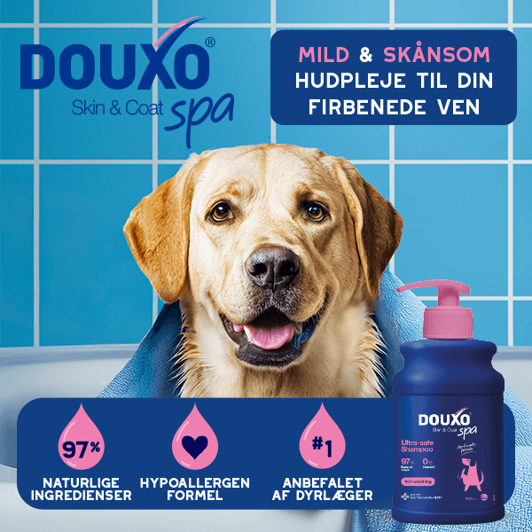 DOUXO Spa
