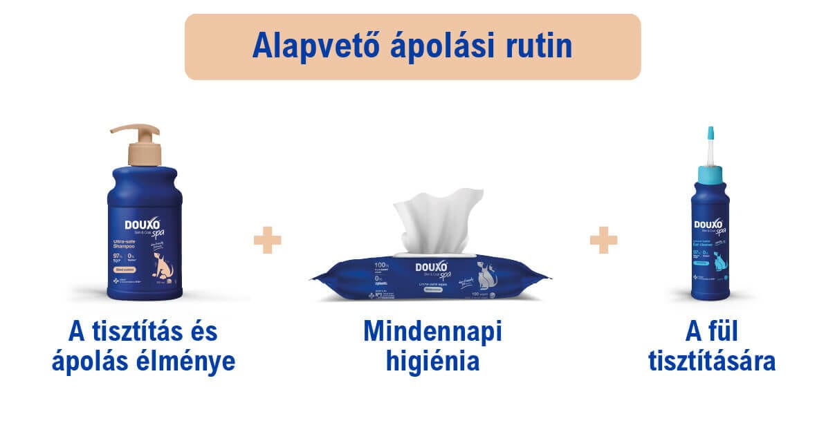DOUXO SPA Vedléscsökkentő sampon kutyáknak 250 ml - ápolási rutin
