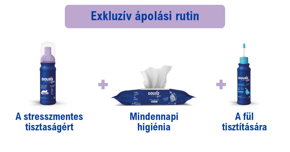 DOUXO SPA Lemosást nem igénylő, frissítő hab macskáknak ápolási rutin