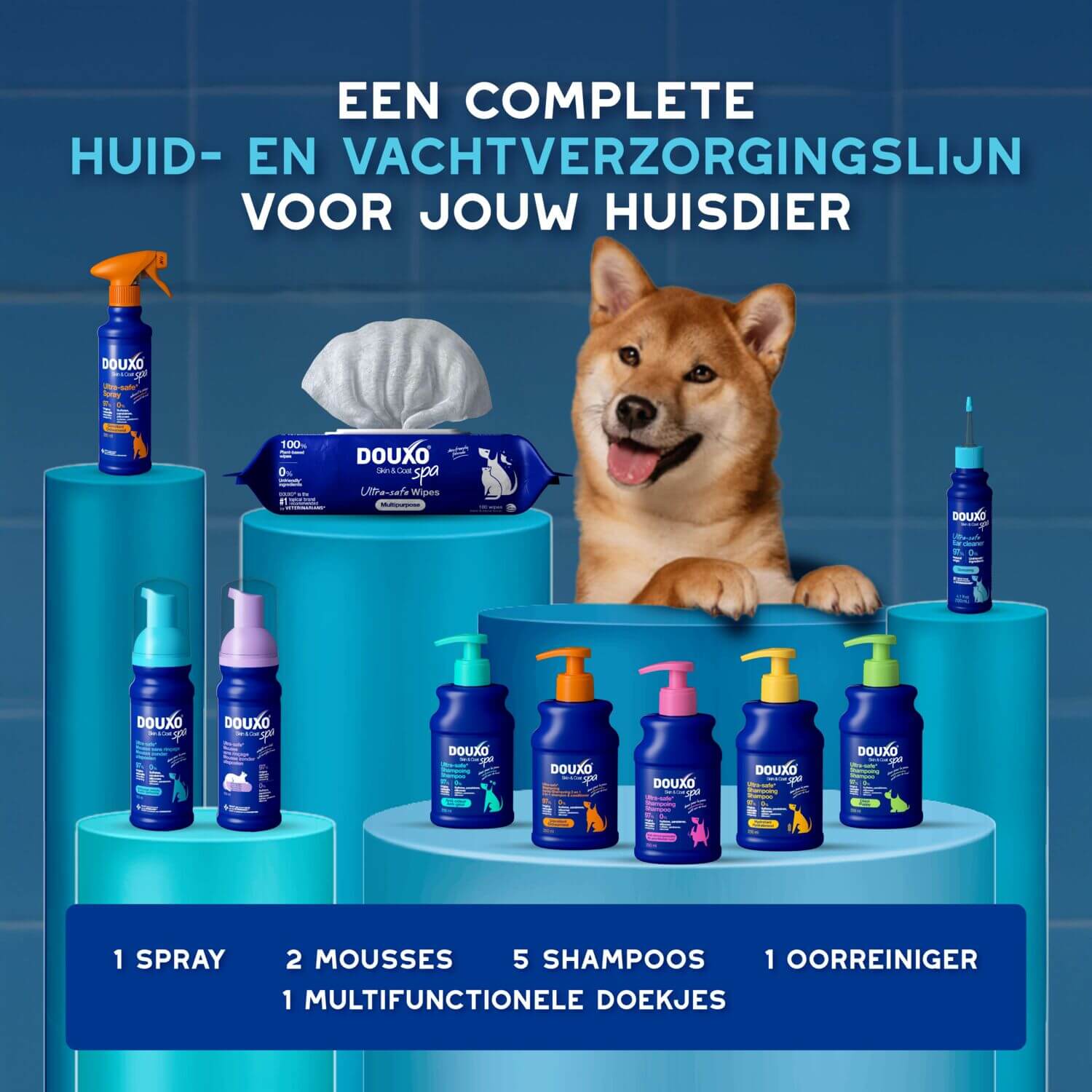 DOUXO Skin & Coat SPA range