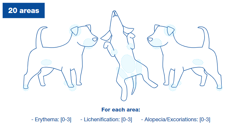 Mellodermal - Peau-Allergie-Démangeaison Chien - Soin Osalia