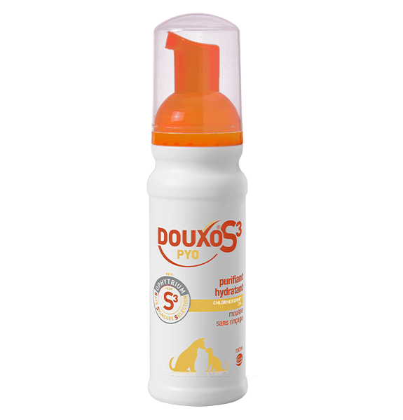 douxo pyo mousse lavage sans rinçage pour chien et chat purifiant et hydratant à la chlorhexidine 3%