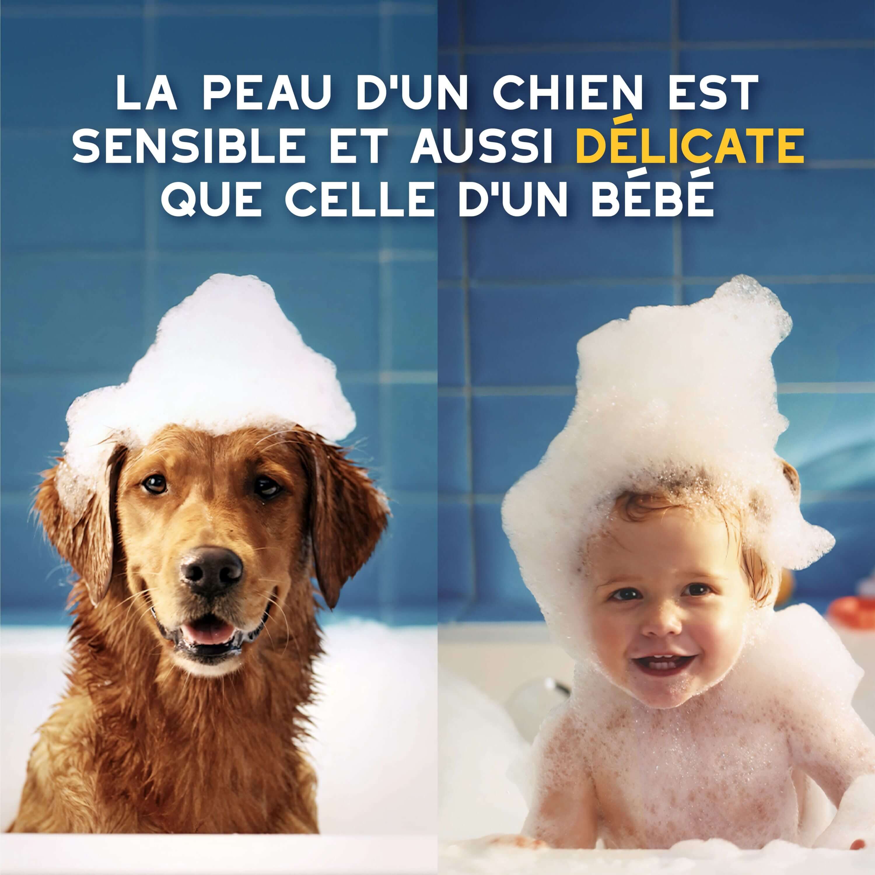 Chien et enfant dans le bain avec du shampoing sur la tête