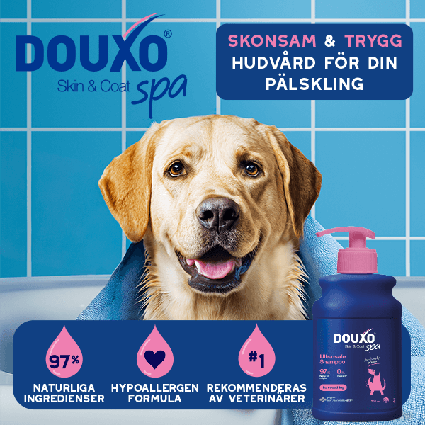 DOUXO Spa