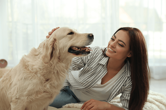 Что вызывает зуд в ушах у собак?