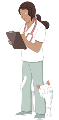 The cat rubs up against the vet who measured his blood pressure