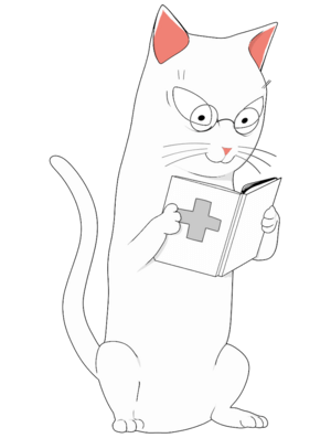 Cat learns about existing medications to treat chronic kidney disease