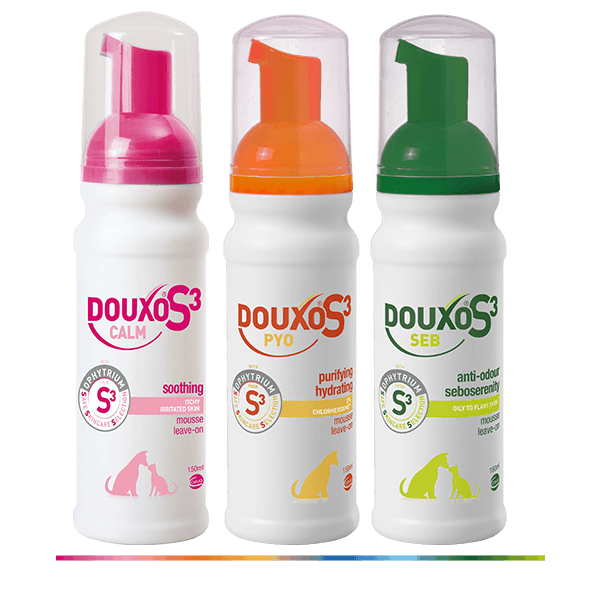 Dog bathless solutions Ear & Skin Care Douxo S3 UK