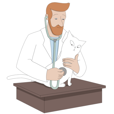Állatorvos megvizsgálja egy macskát a rendelőben.
