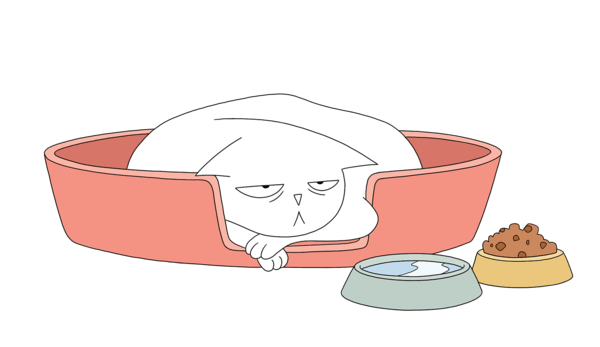 El gato con Enfermedad Renal Crónica que ya presenta varios síntomas se queda acostado en su cesta