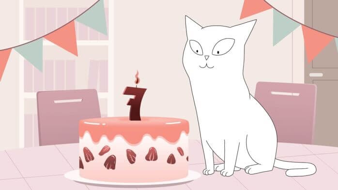 Kat fejrer 7 års fødselsdag, vær opmærksom på, at risikoen for forhøjet blodtryk øges.