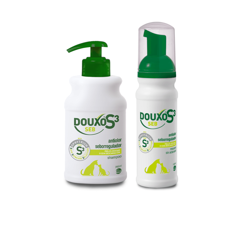 Cat’s fur feel greasy Oily cat fur Your Cat's Skin Douxo S3 UK