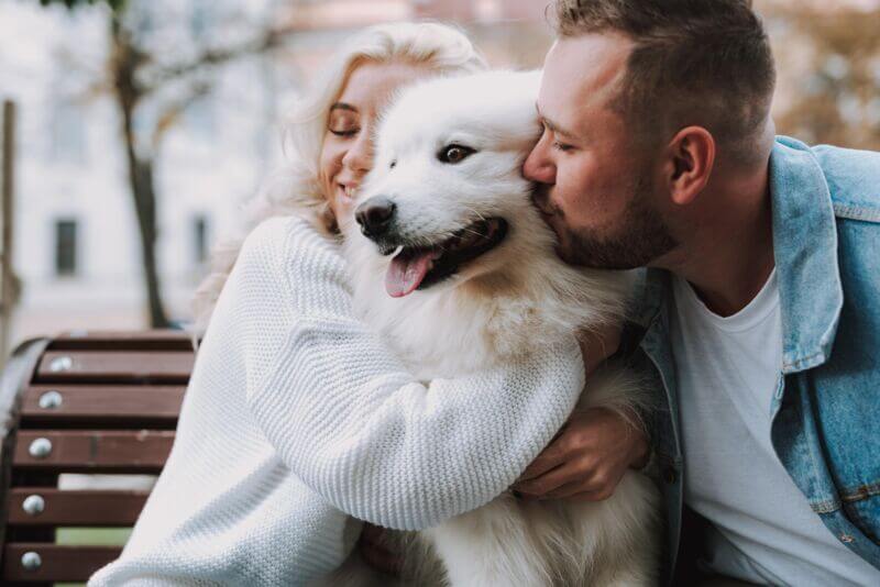 dog-human bond